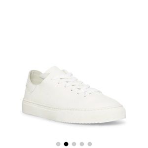 Steve Madden White Leather Sneakers